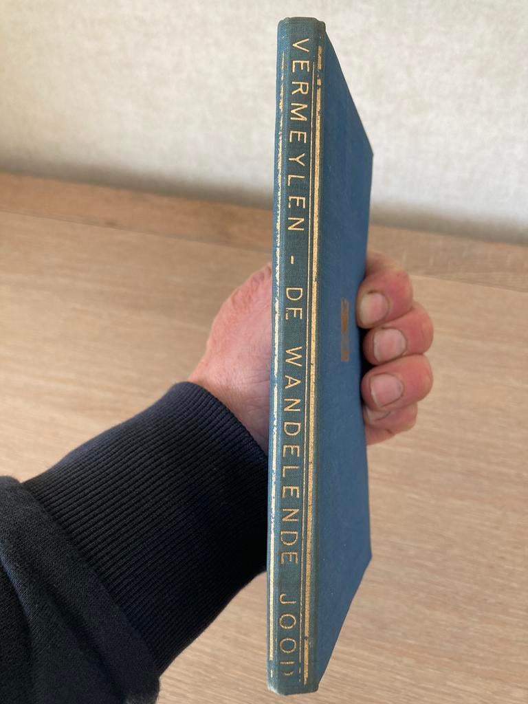 Boek : De wandelende jood, Ophalen of Verzenden, Gebruikt