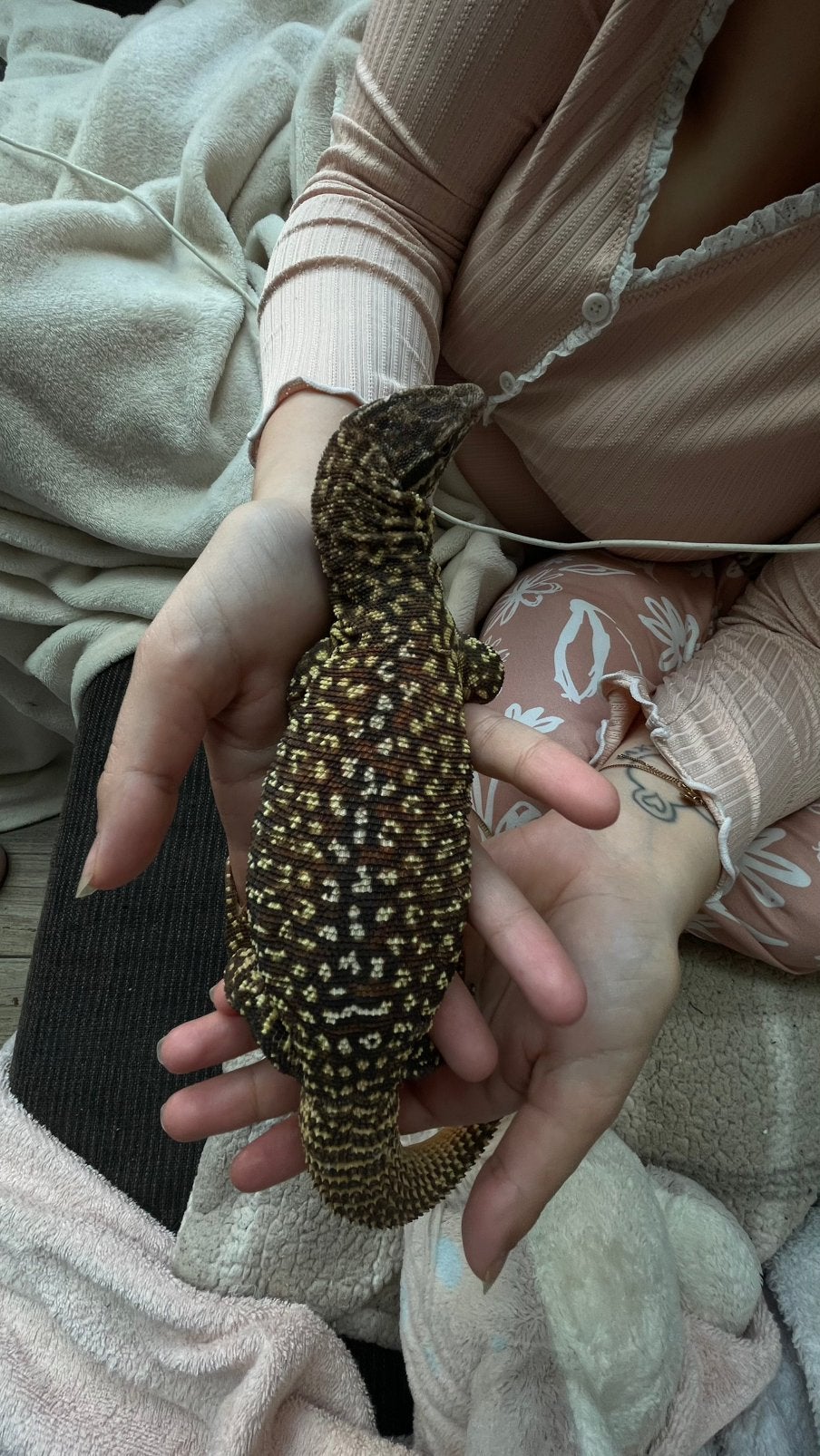 Varanus acanthurus, Kleding | Dames, Riemen en Ceinturen, Ophalen, Zo goed als nieuw