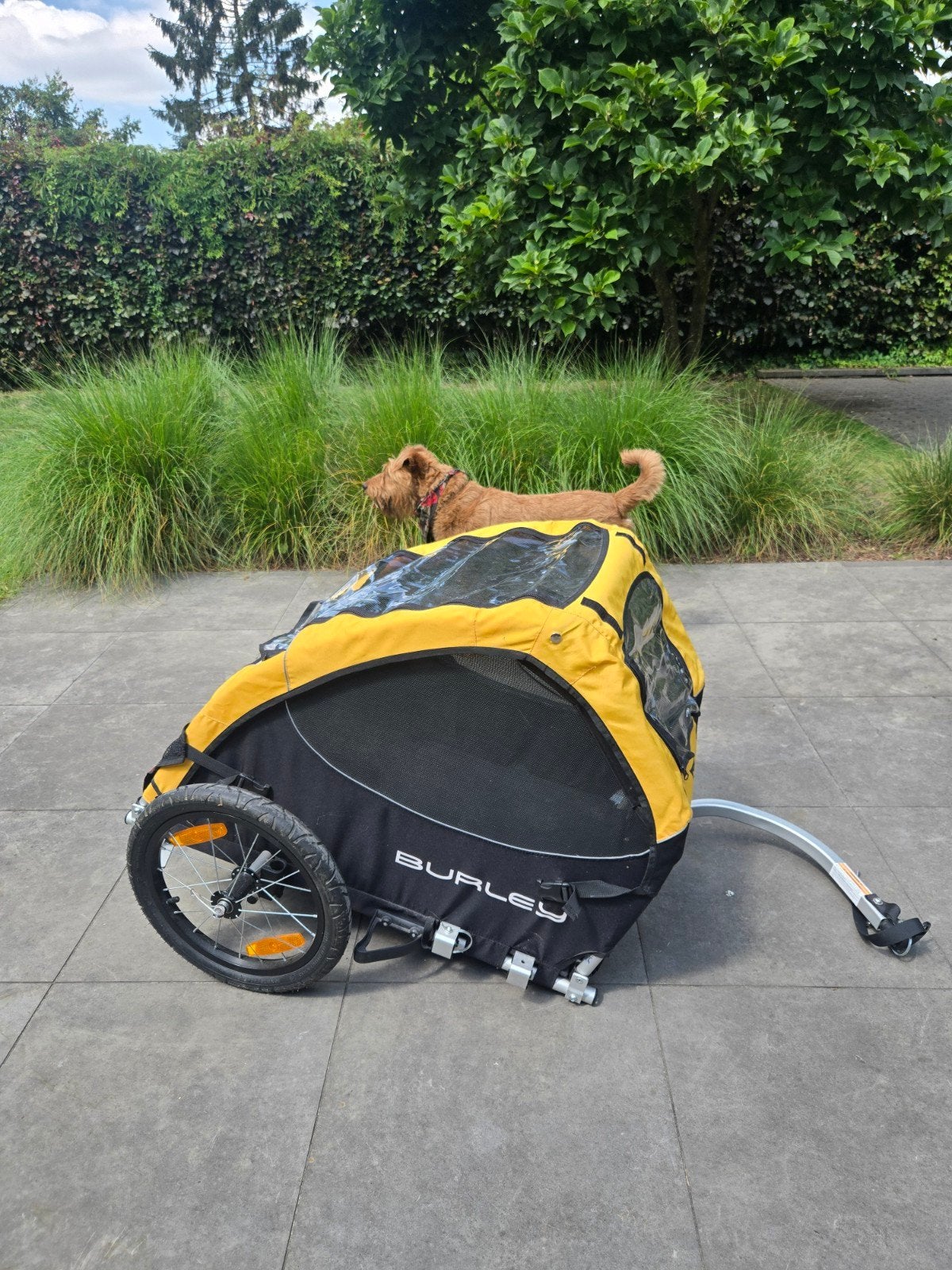 Burley Tail Wagon hondenfietskar, Ophalen, Gebruikt, Opvouwbaar, Burley