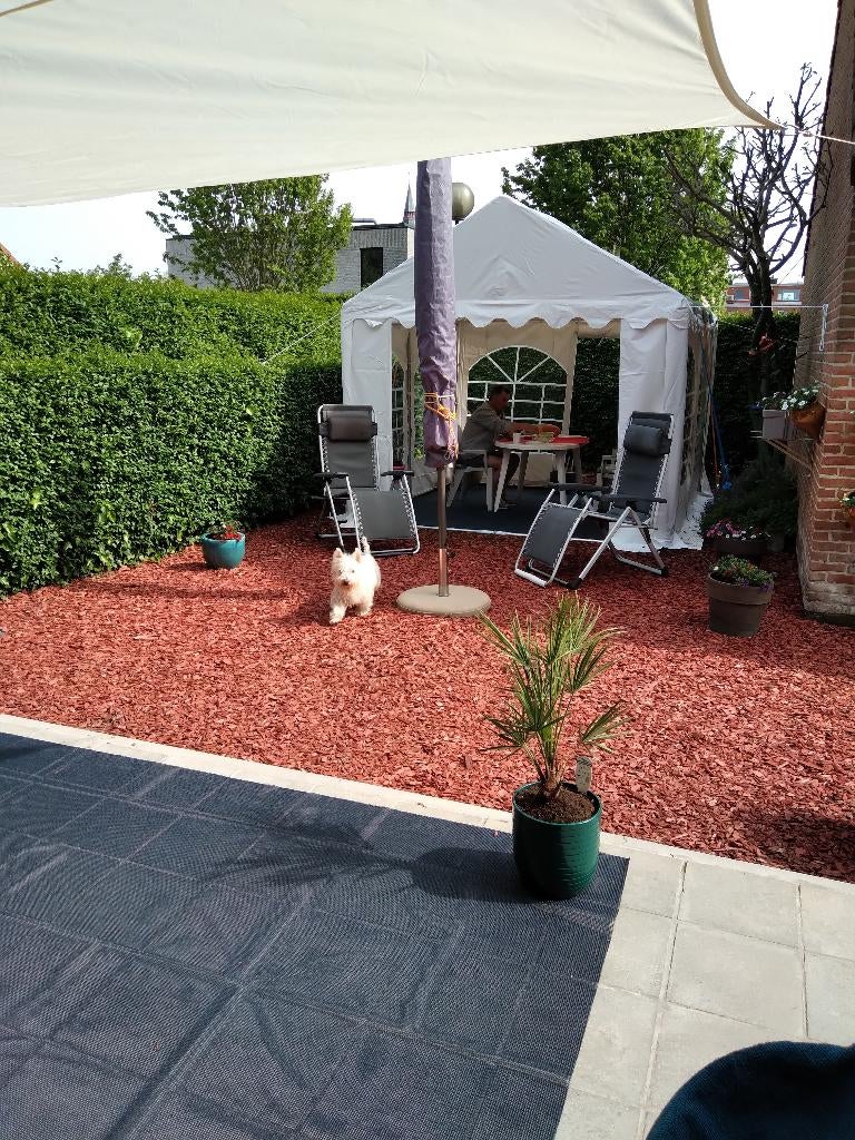 PARTY TENT  WIT  _ 3X3 _PRO PLUS PVC WIT, Caravans en Kamperen, Ophalen, Zo goed als nieuw
