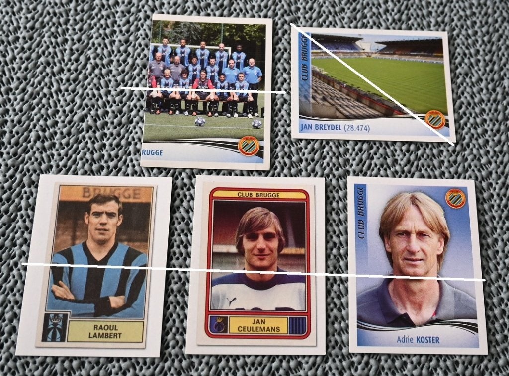 Panini Football 2010 / Club Brugge / 22 stickers, Verzamelen, Verzenden, Nieuw, Poster, Plaatje of Sticker