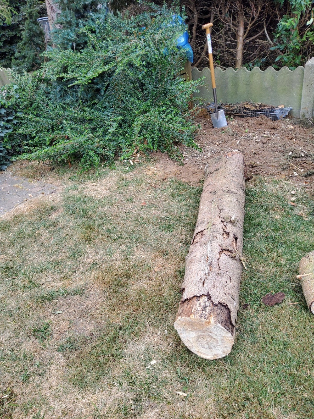gedroogd dennen hout, Jardin & Terrasse, Bois de chauffage, Enlèvement
