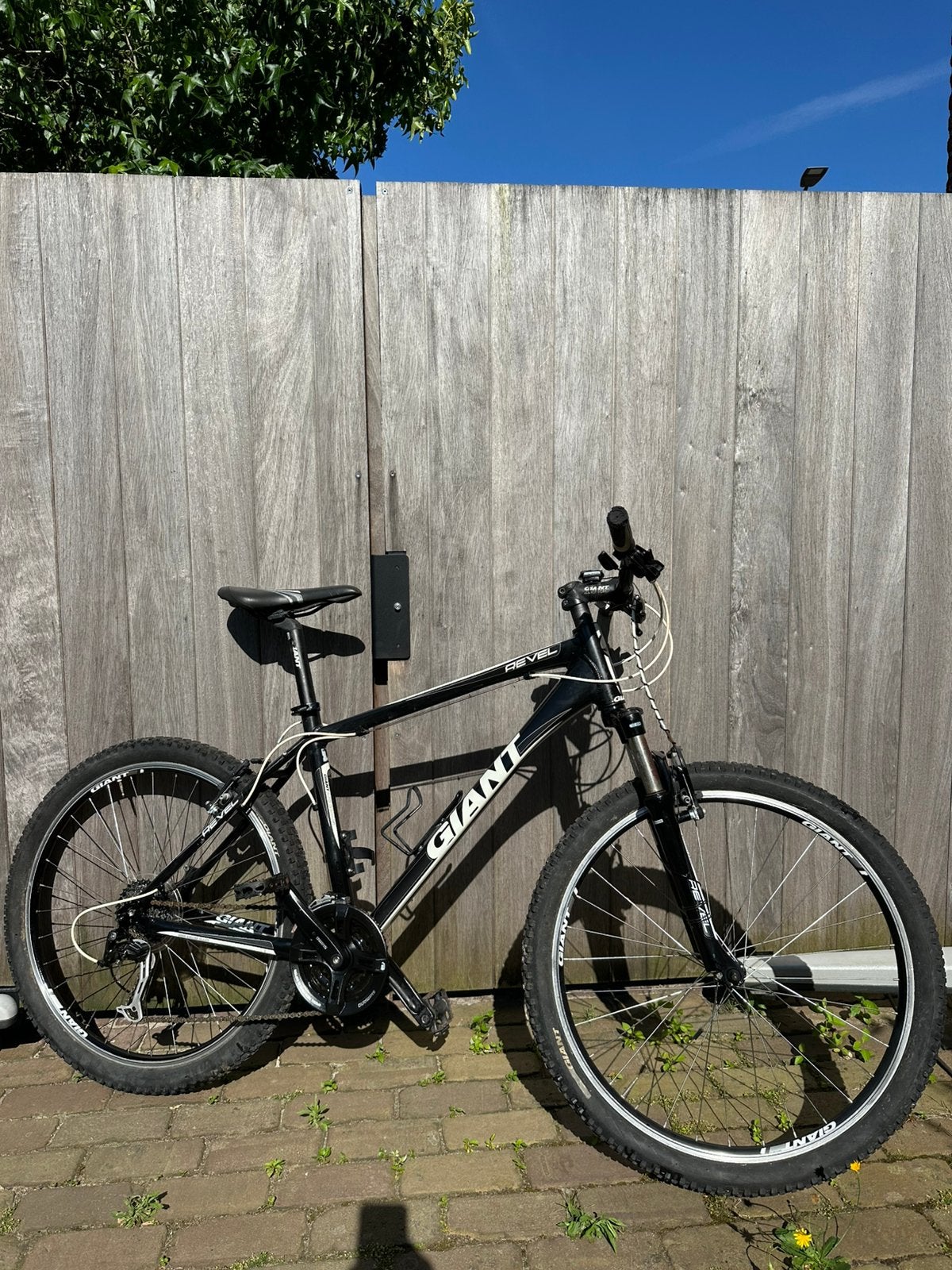 Giant Revel mountainbike, Fietsen en Brommers, Ophalen, Gebruikt, Giant