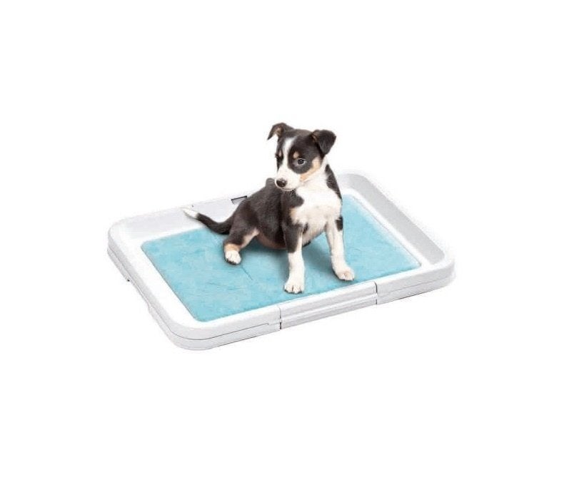 Tapis d'entraînement Puppy, serviettes, tapis de toilette, Animaux & Accessoires, Enlèvement ou Envoi, Neuf