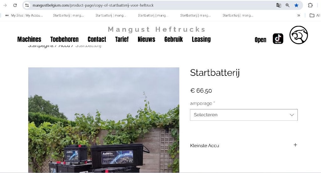 ruime keuze nieuwe accu startbatterij, Ophalen