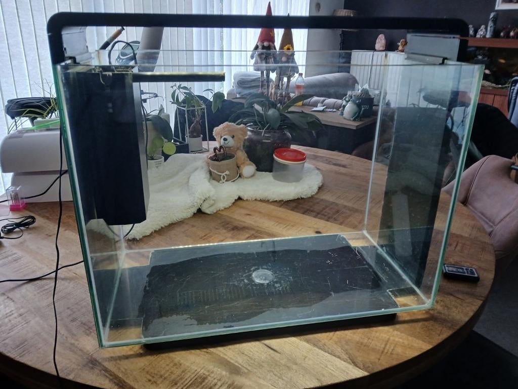 Te koop aquarium van superfish, Animaux & Accessoires, Poissons | Aquariums & Accessoires, Comme neuf, Aquarium vide, Enlèvement