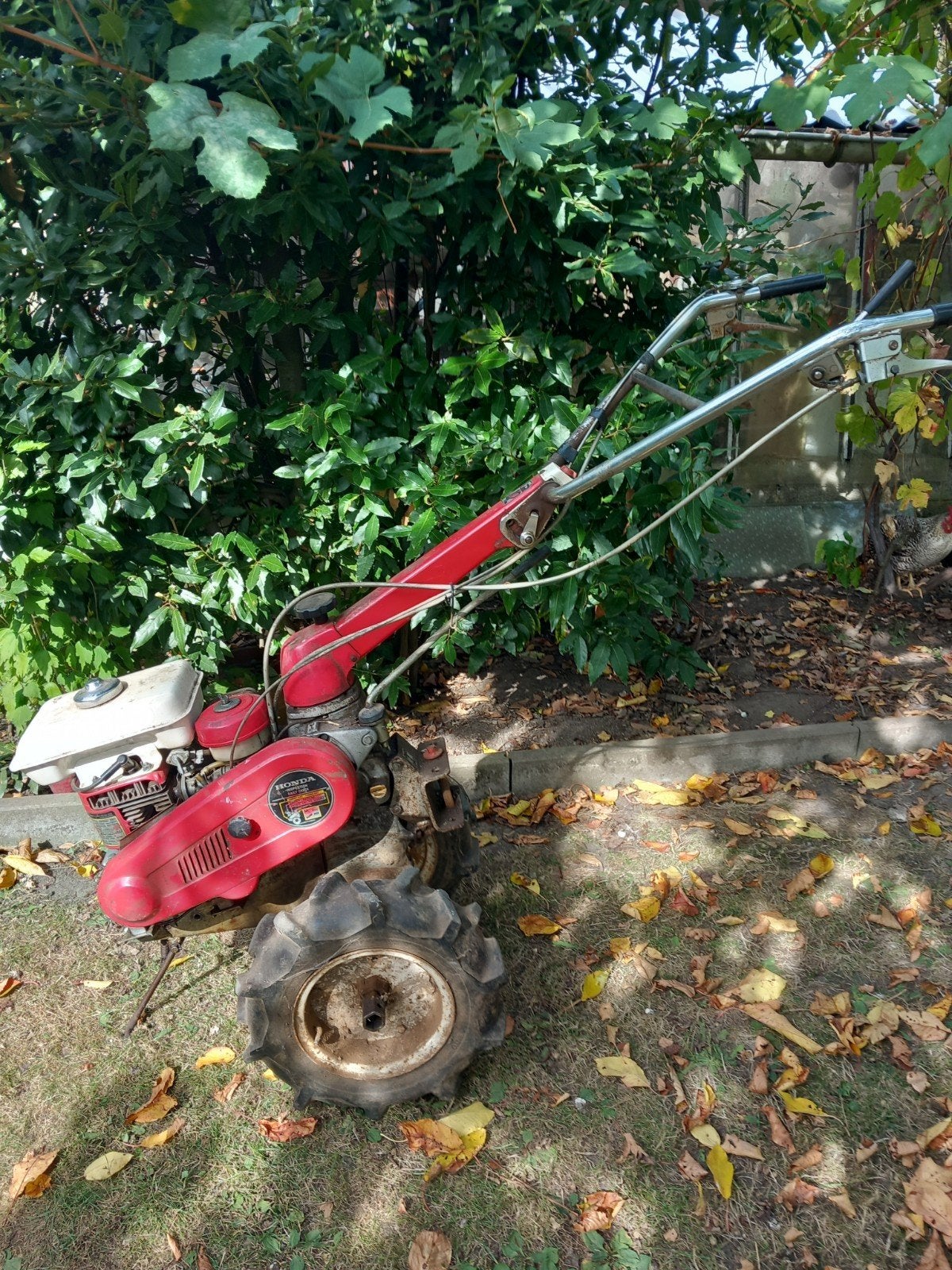 Honda F42, Enlèvement