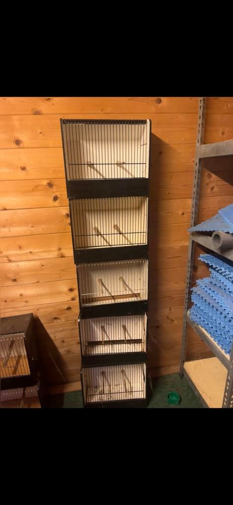 Tt kooien te koop voor goede prijs wegens stoppen met hobby, Dieren en Toebehoren, Vogels | Hokken en Kooien, Zo goed als nieuw
