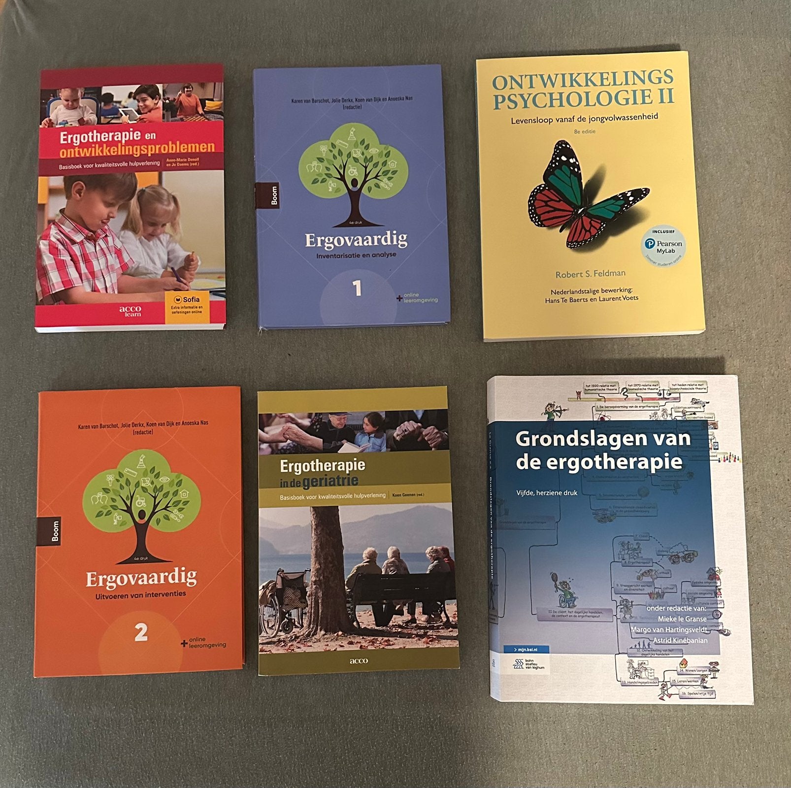 Boeken ergotherapie (10st + 1 kiné boek), Boeken, Schoolboeken, Nieuw, Overige vakken, Ophalen