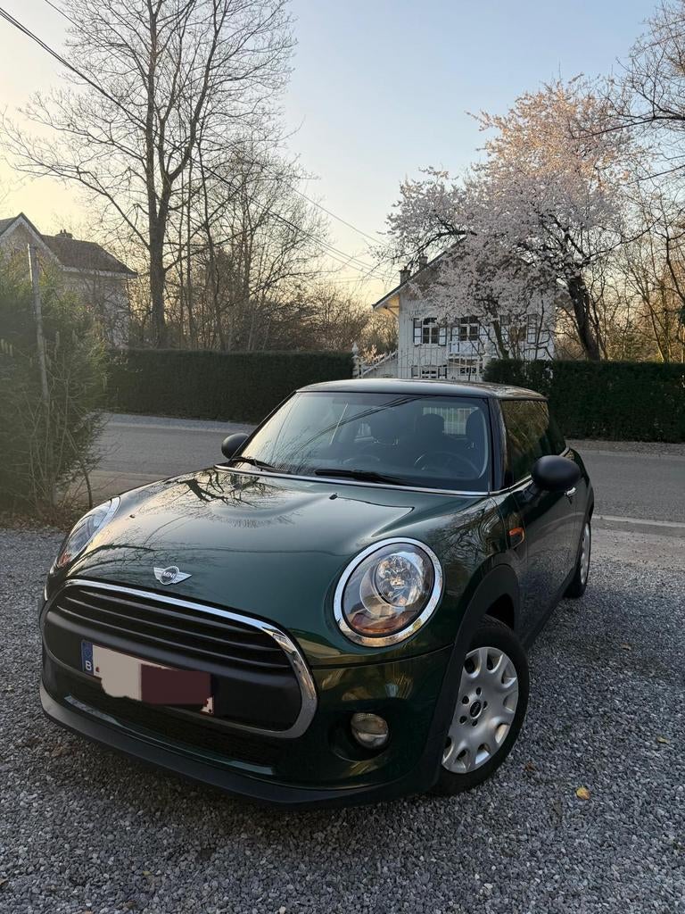 Très belle Mini prête à immatriculer en ordre de contrôle, Autos, Achat, 72 kW, Boîte manuelle, Entretenue par le concessionnaire