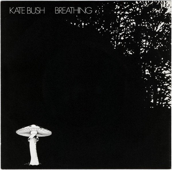 kate bush, Enlèvement ou Envoi