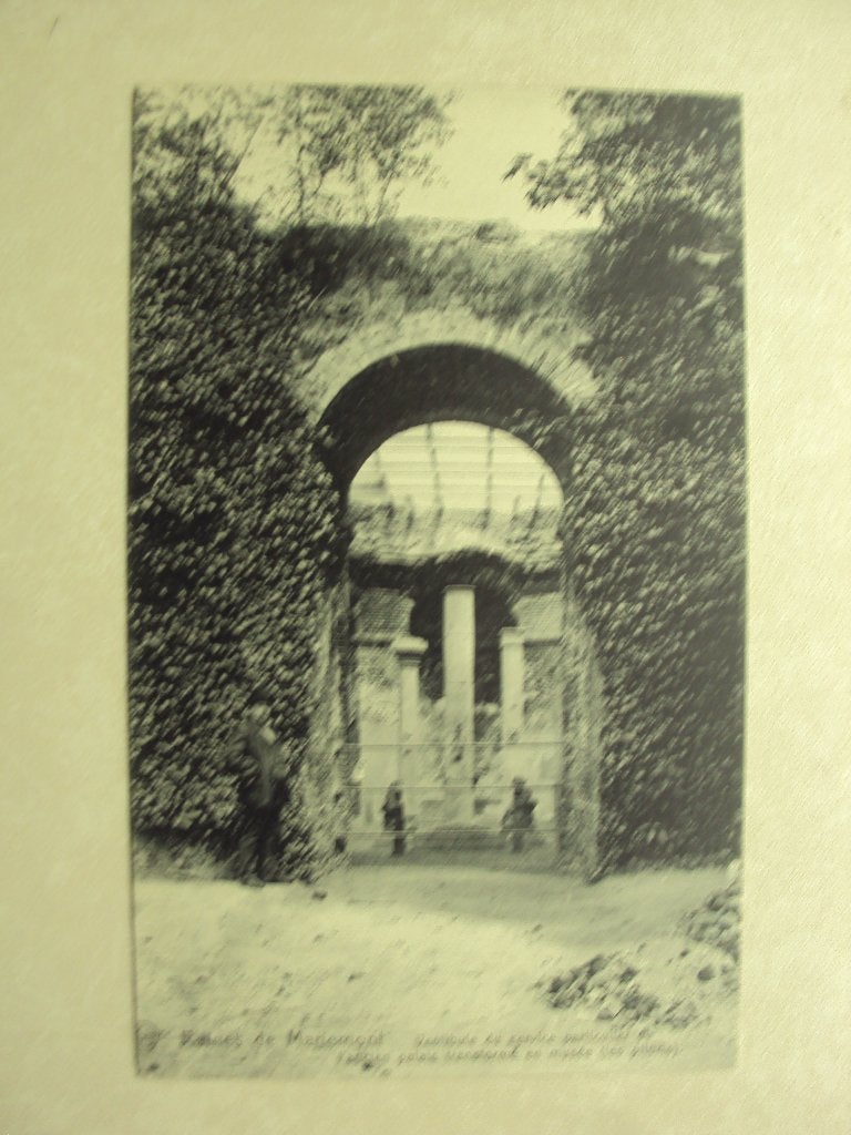 50062 - RUINES DE MARIEMONT - VERSTIBULE - ZIE2 FOTO'S, Enlèvement ou Envoi