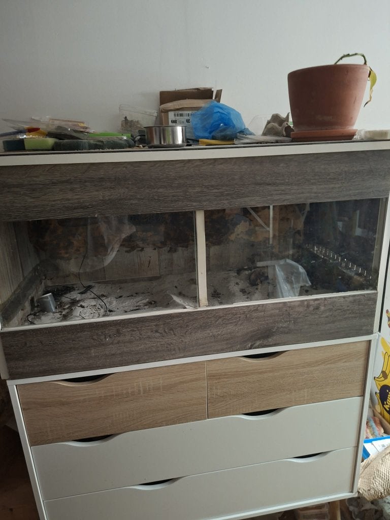 terrarium 100x50x40, Dieren en Toebehoren, Overige Dieren-accessoires, Ophalen, Gebruikt