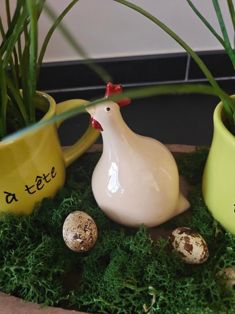 Petite poule Catherine Hunter, Enlèvement