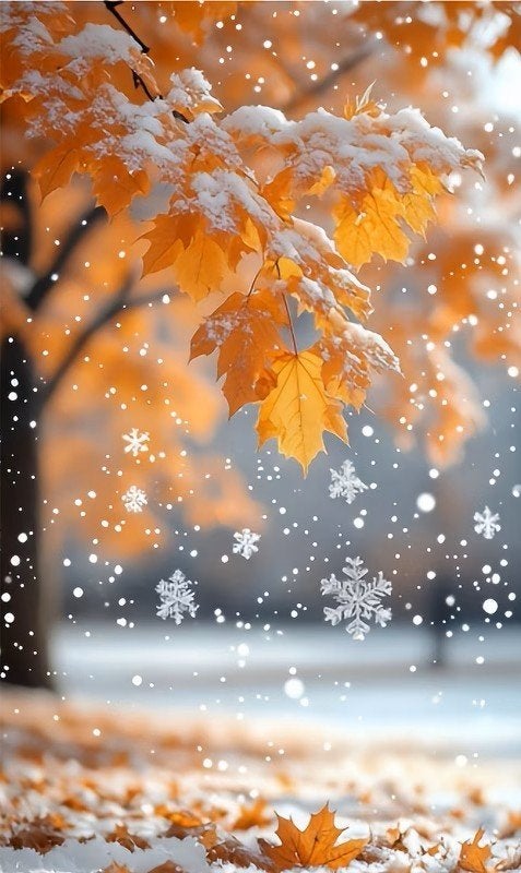 50x40cm Diamond Painting herfst boom in sneeuw (rond) nr 94, Hobby en Vrije tijd, Verzenden, Nieuw, Meerkleurig, Overige materialen