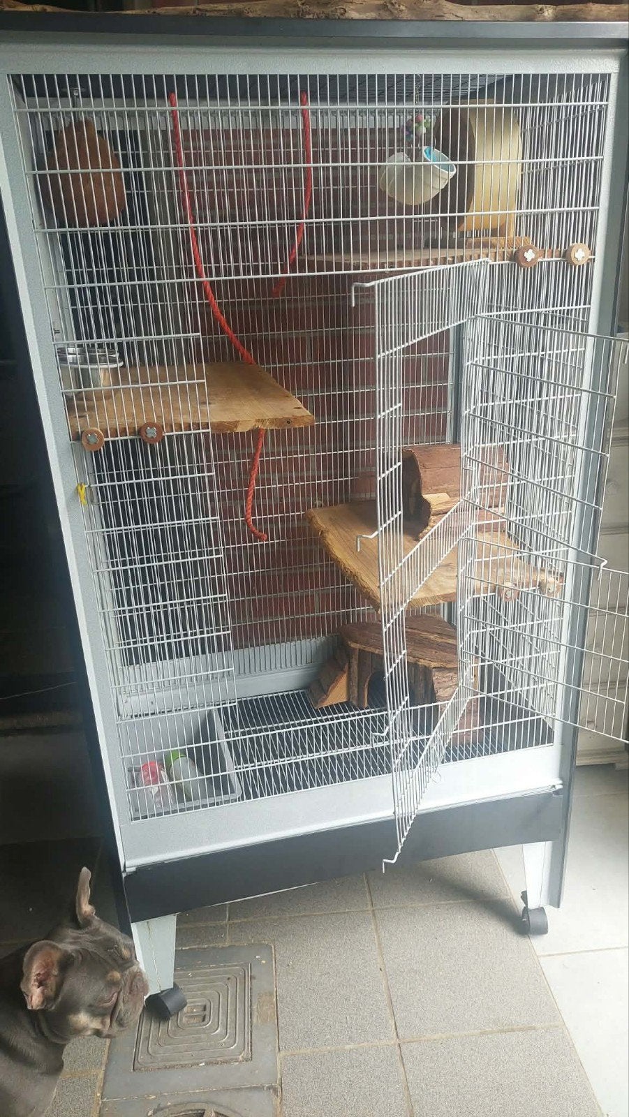 rattenkooi met toebehoren, Ophalen