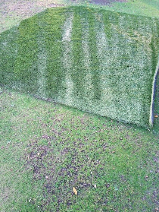 kunstgras hoogpolig, Tuin en Terras, Ophalen, Gebruikt, 10 tot 20 m², Kunstgras