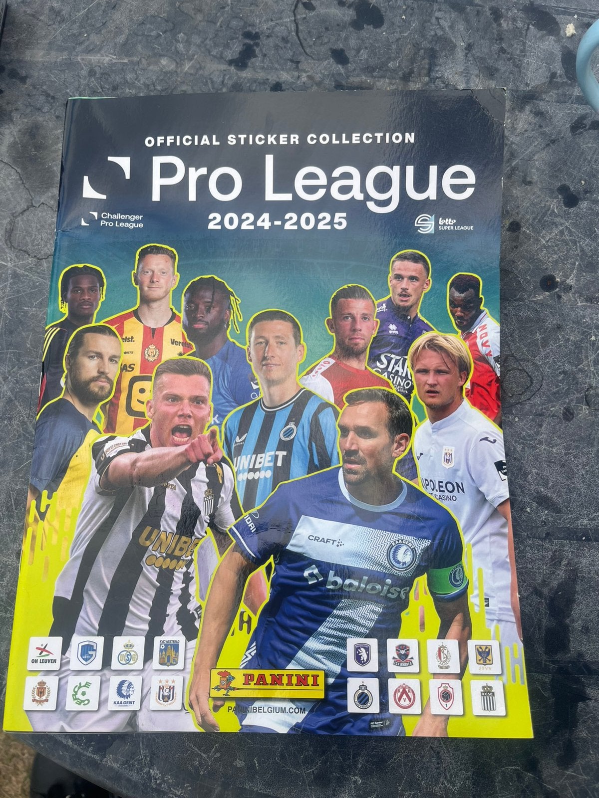 Voetbal boek pro league compleet 2024-2025 complete boek, Verzamelen, Sportartikelen en Voetbal, Ophalen, Zo goed als nieuw