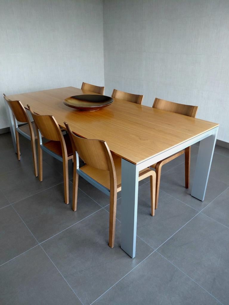 Table à manger HULSTA avec 6 chaises Noyer., 100 à 150 cm, Enlèvement, Utilisé, Rectangulaire