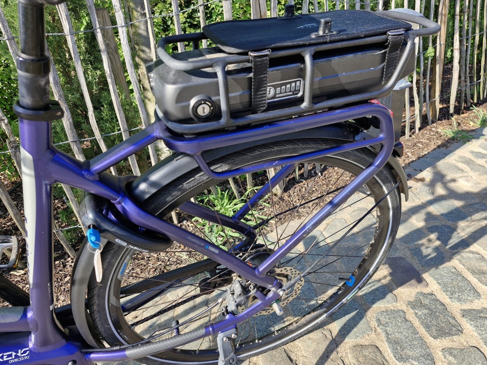 Giant electrische fiets dames, Ophalen of Verzenden, Giant