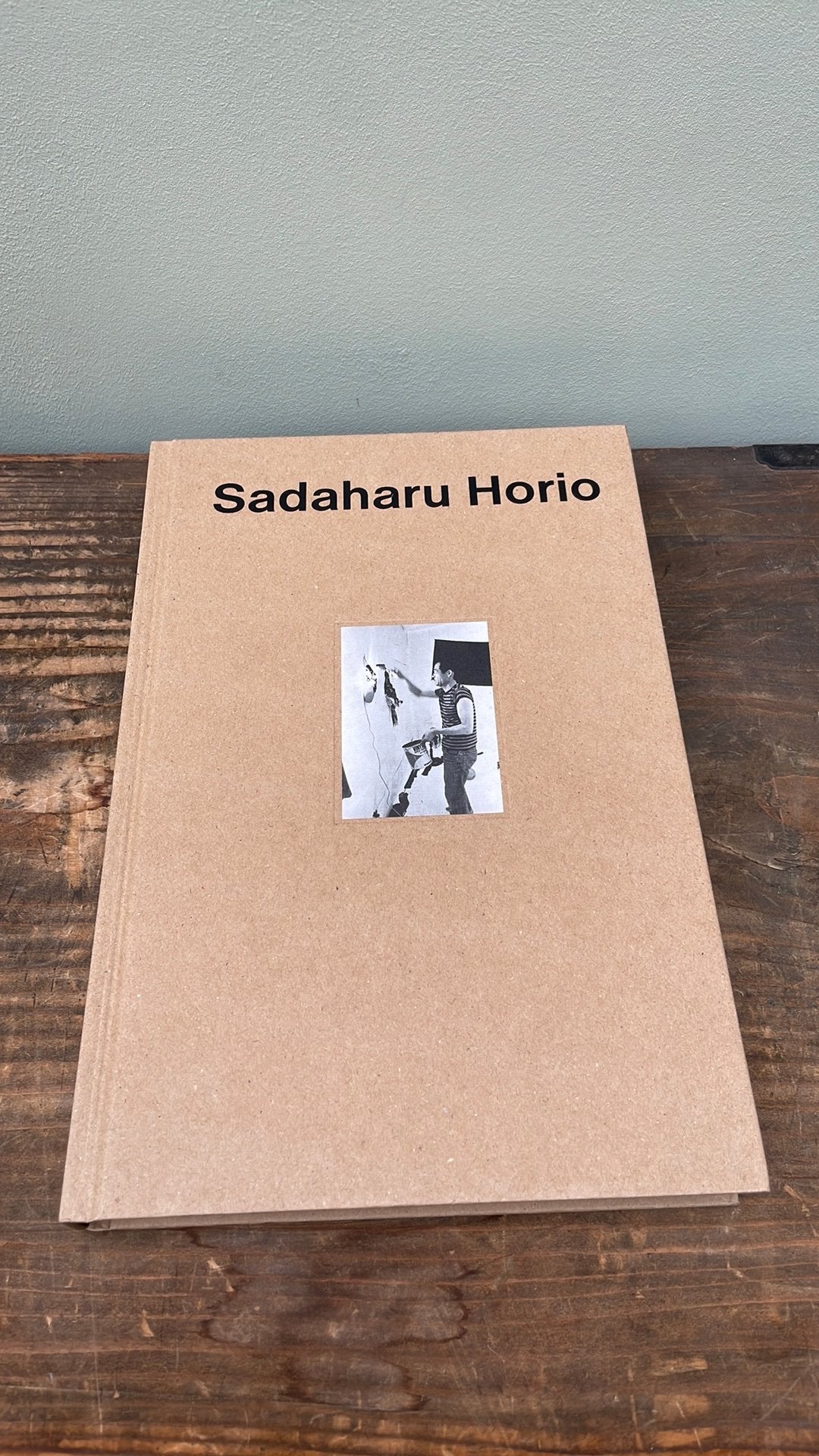 Sadaharu Horio, Livres, Art & Culture | Arts plastiques, Enlèvement ou Envoi, Comme neuf, Peinture et dessin