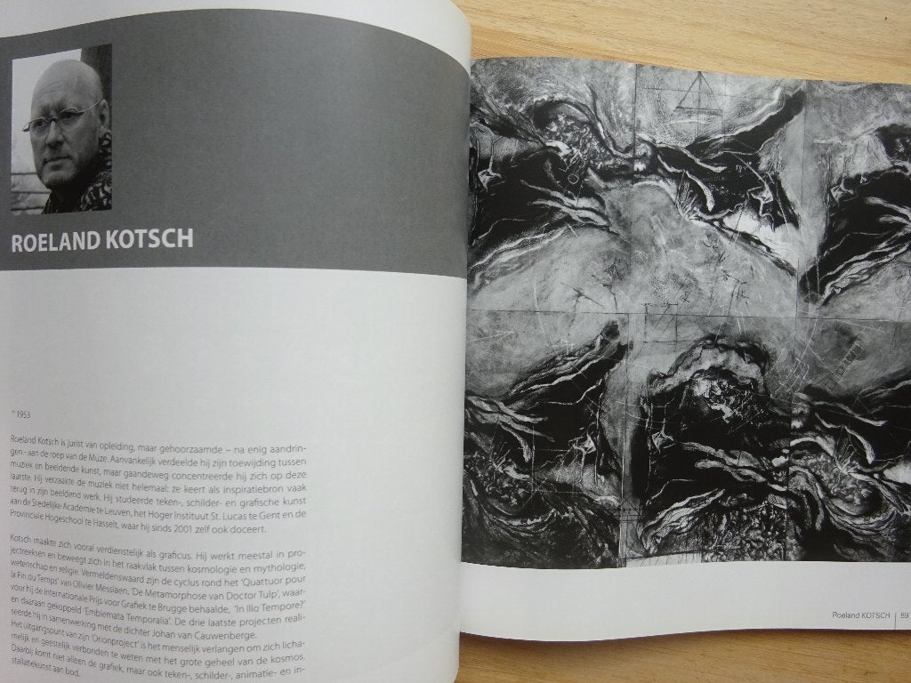 16e biënnale hedendaagse kunst, Rotary Aalter 2013, Ophalen of Verzenden, Zo goed als nieuw, Schilder- en Tekenkunst