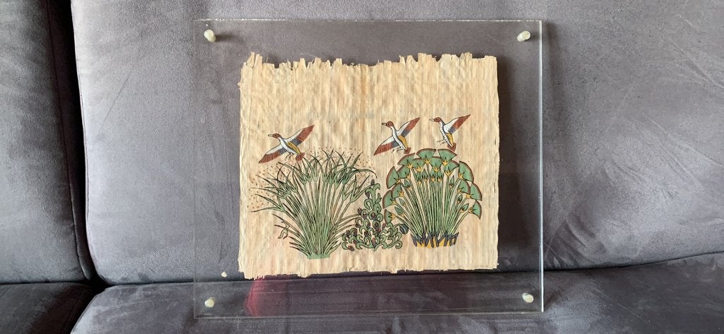Papyrus onder plexi, Ophalen, Gebruikt