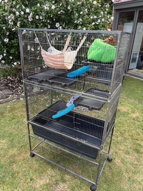Mooie knaagdierenkooi met accesoires, Animaux & Accessoires, 90 cm ou plus, 75 à 110 cm, Cage, Enlèvement