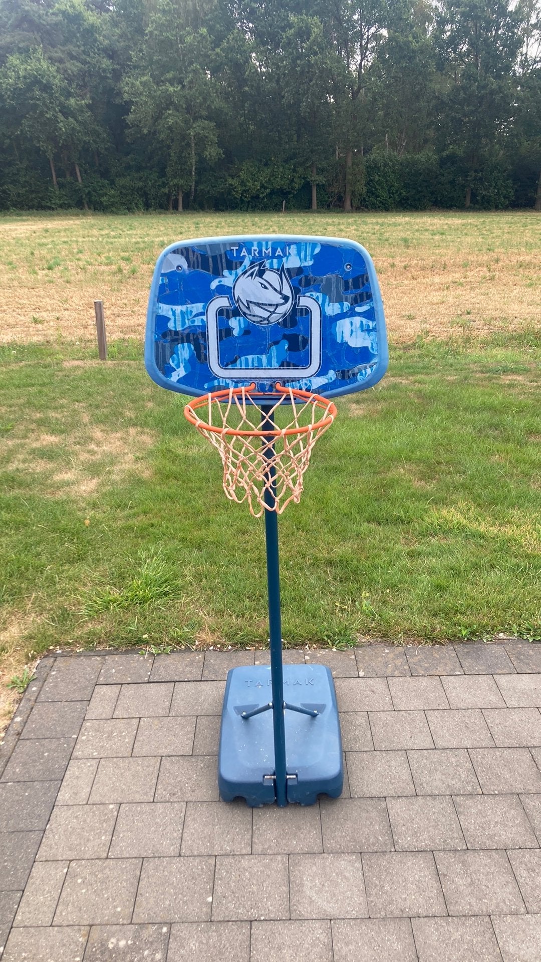 Basketring, Sports & Fitness, Basket, Enlèvement, Utilisé, Anneau, Panneau ou Poteau
