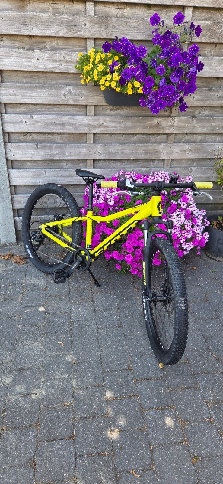 Scott Scale 24inch mountainbike, Ophalen, Zo goed als nieuw, Schijfrem, Overige merken