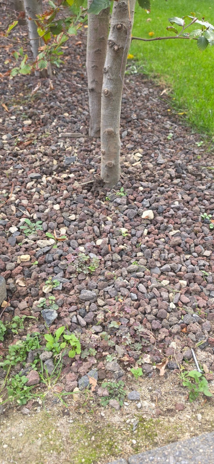 kiezel, Tuin en Terras, Ophalen, Lava