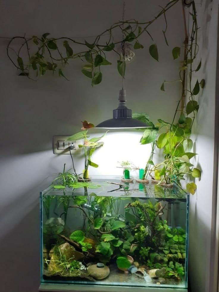 Gezoch: aquarium, Dieren en Toebehoren, Ophalen of Verzenden