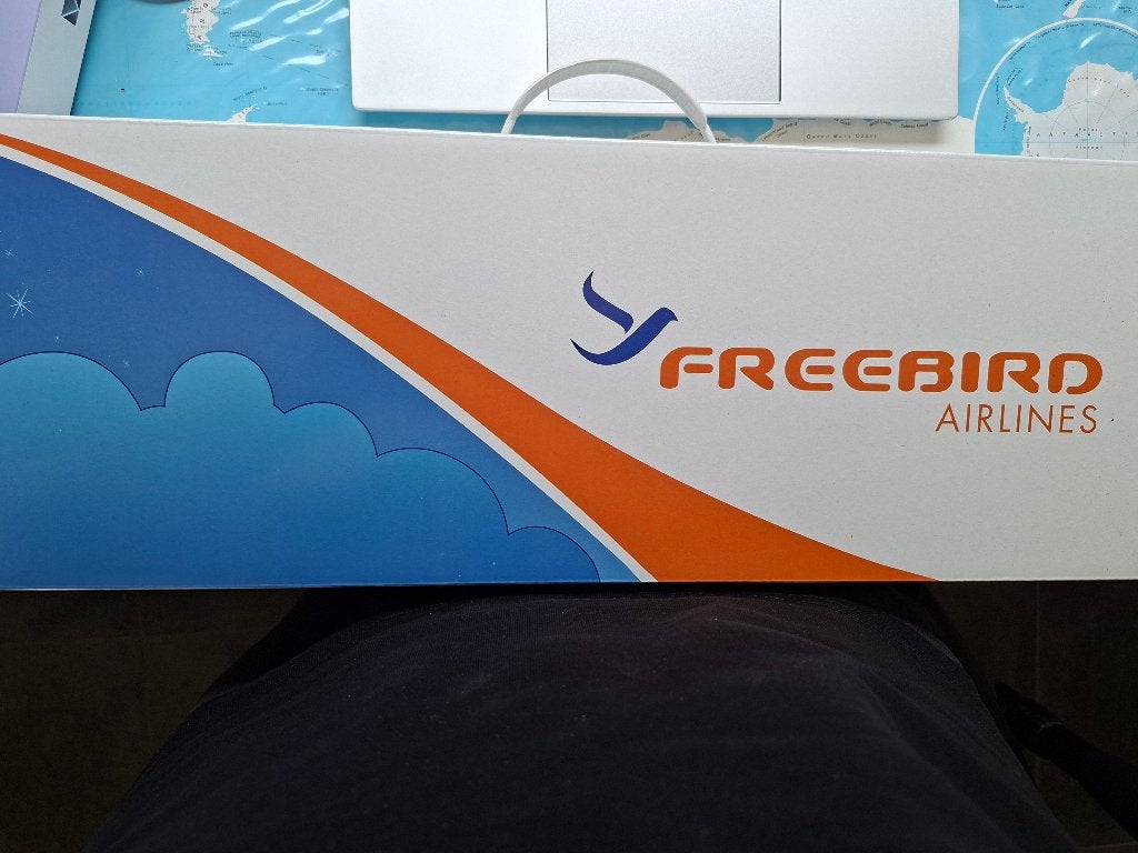 Freebird Airbus A320, Enlèvement ou Envoi, Neuf, Modèle réduit