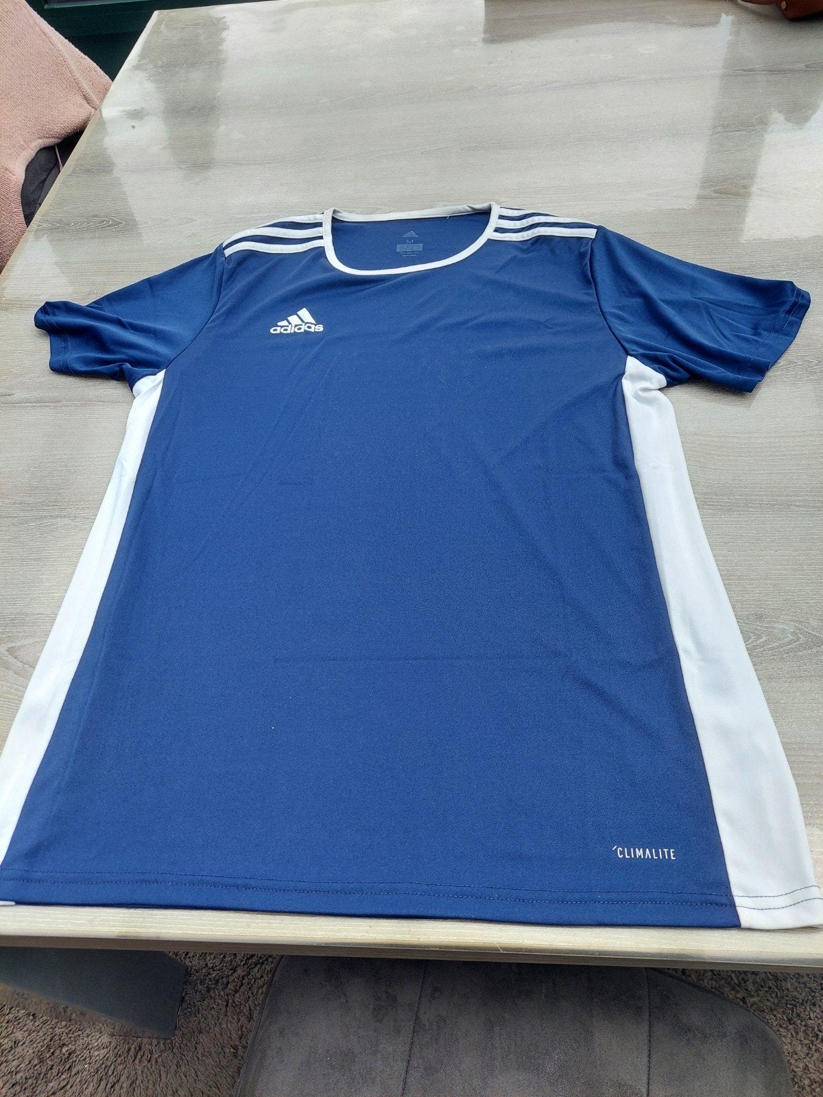 sport T-shirt + korte broek, Ophalen of Verzenden, Maat 48/50 (M), Blauw, Adidas