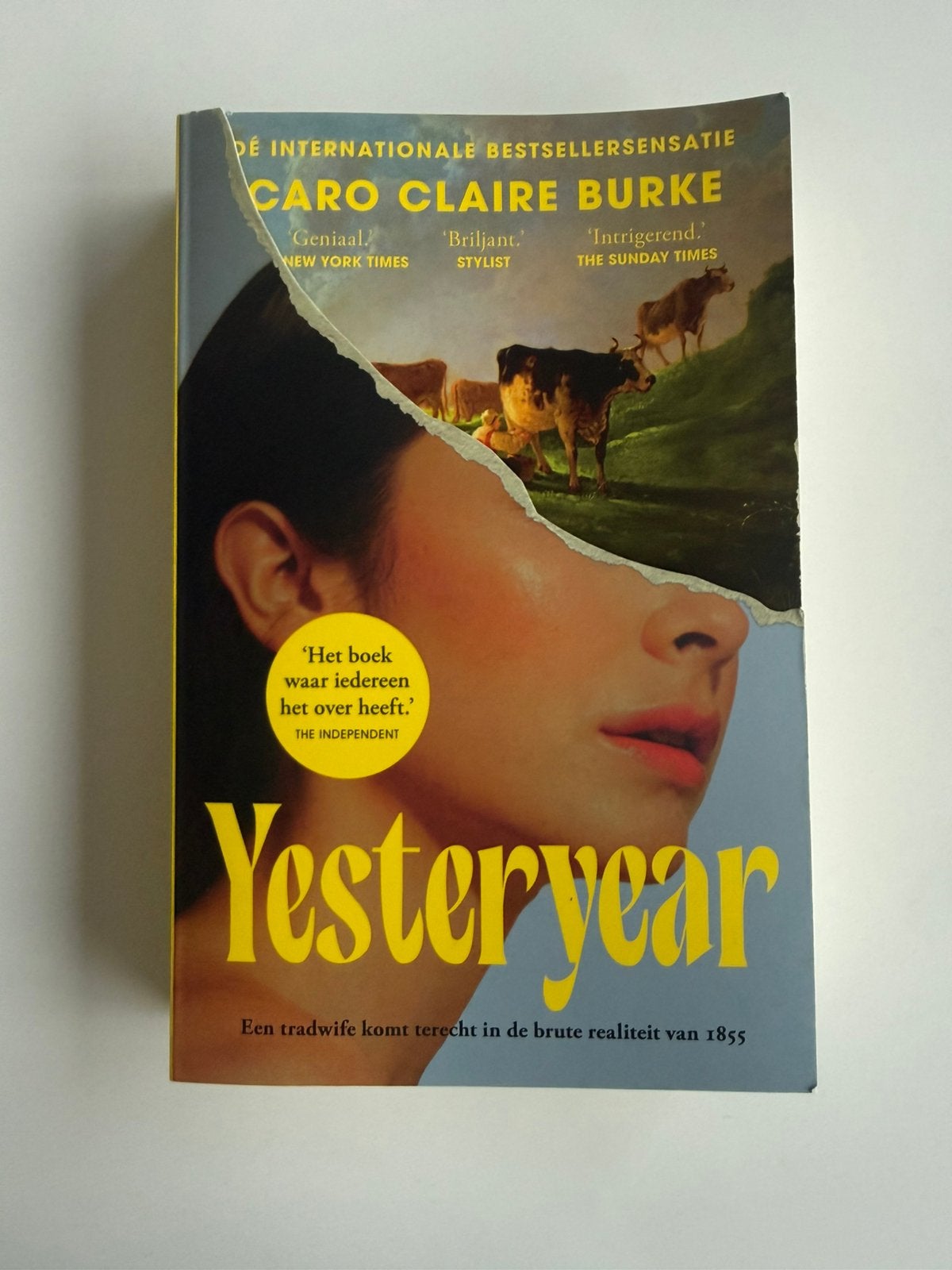 Yesteryear - Caro Claire Burke, Boeken, Ophalen of Verzenden, Gelezen, Amerika