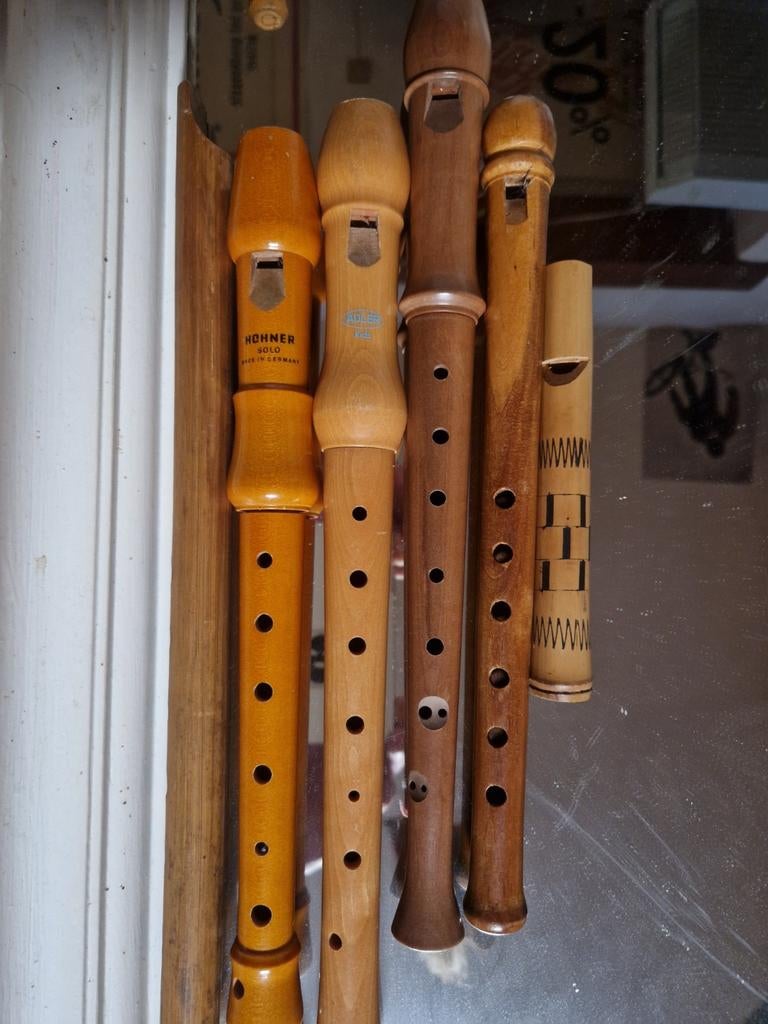 5 enregistreurs de haute qualité (Horner, Adler..., Musique & Instruments, Instruments à vent | Flûtes à bec, Enlèvement