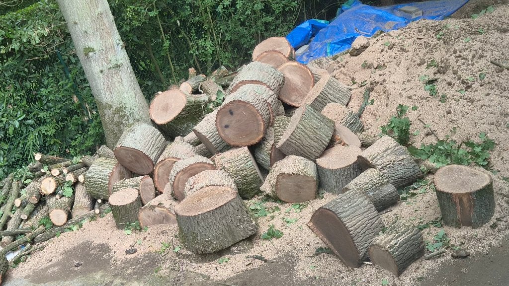 Brandhout - eik, Tuin en Terras, Minder dan 3 m³, Ophalen, Eikenhout, Stammen