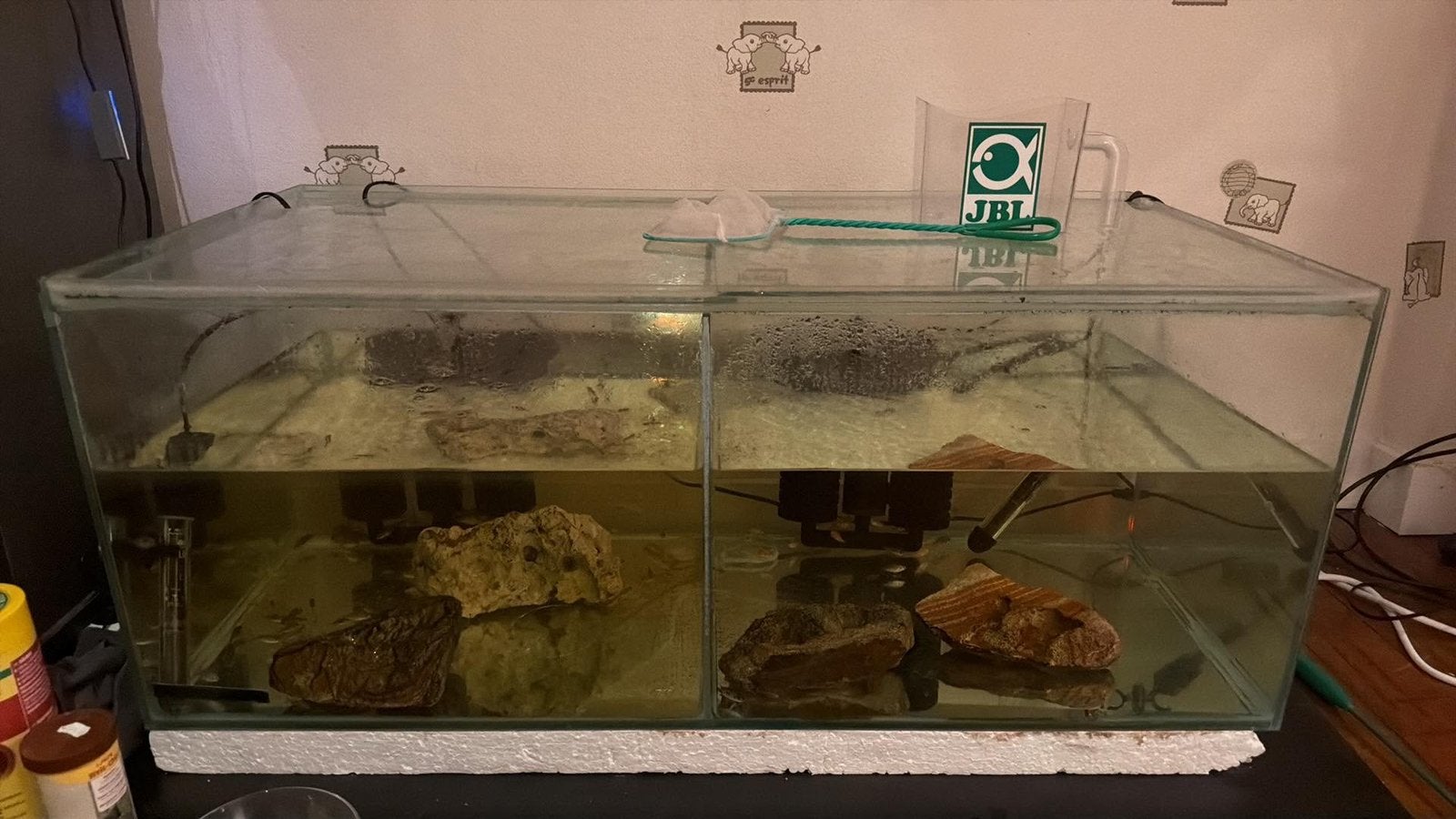 Aquarium, Enlèvement, Couvercle inclus, Utilisé, Aquarium d'eau douce rempli