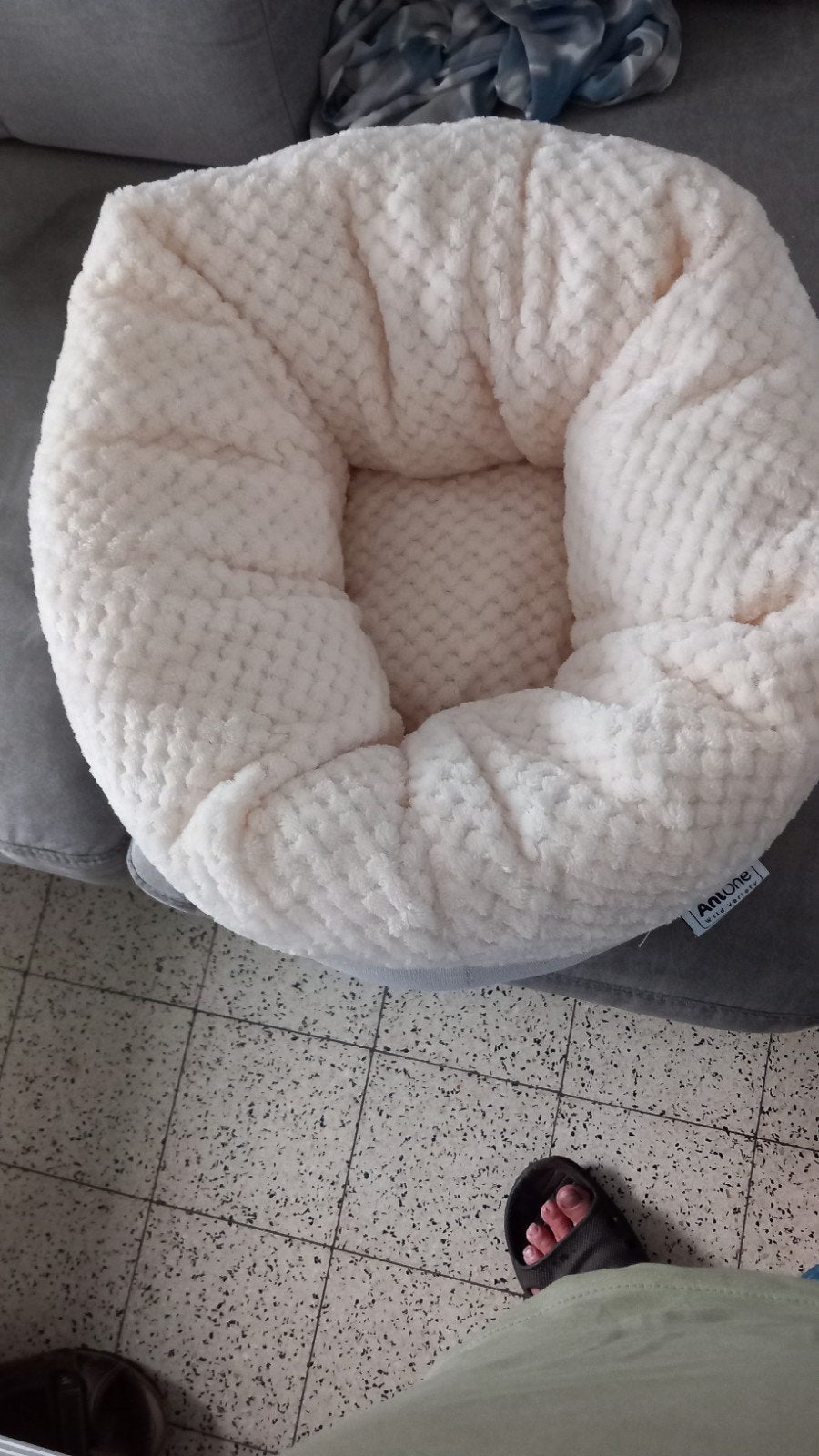 nieuwe kattenmand, Dieren en Toebehoren, Ophalen