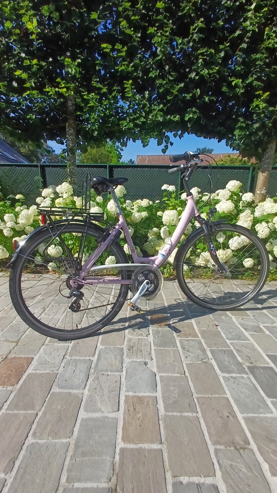 Vélo rose Venturelli pour femme - 28 pouces - série Avenue, Enlèvement, 28 pouces