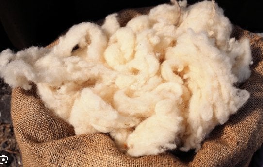 Laine de mouton, Animaux & Accessoires, Moutons, Chèvres & Cochons, Mouton