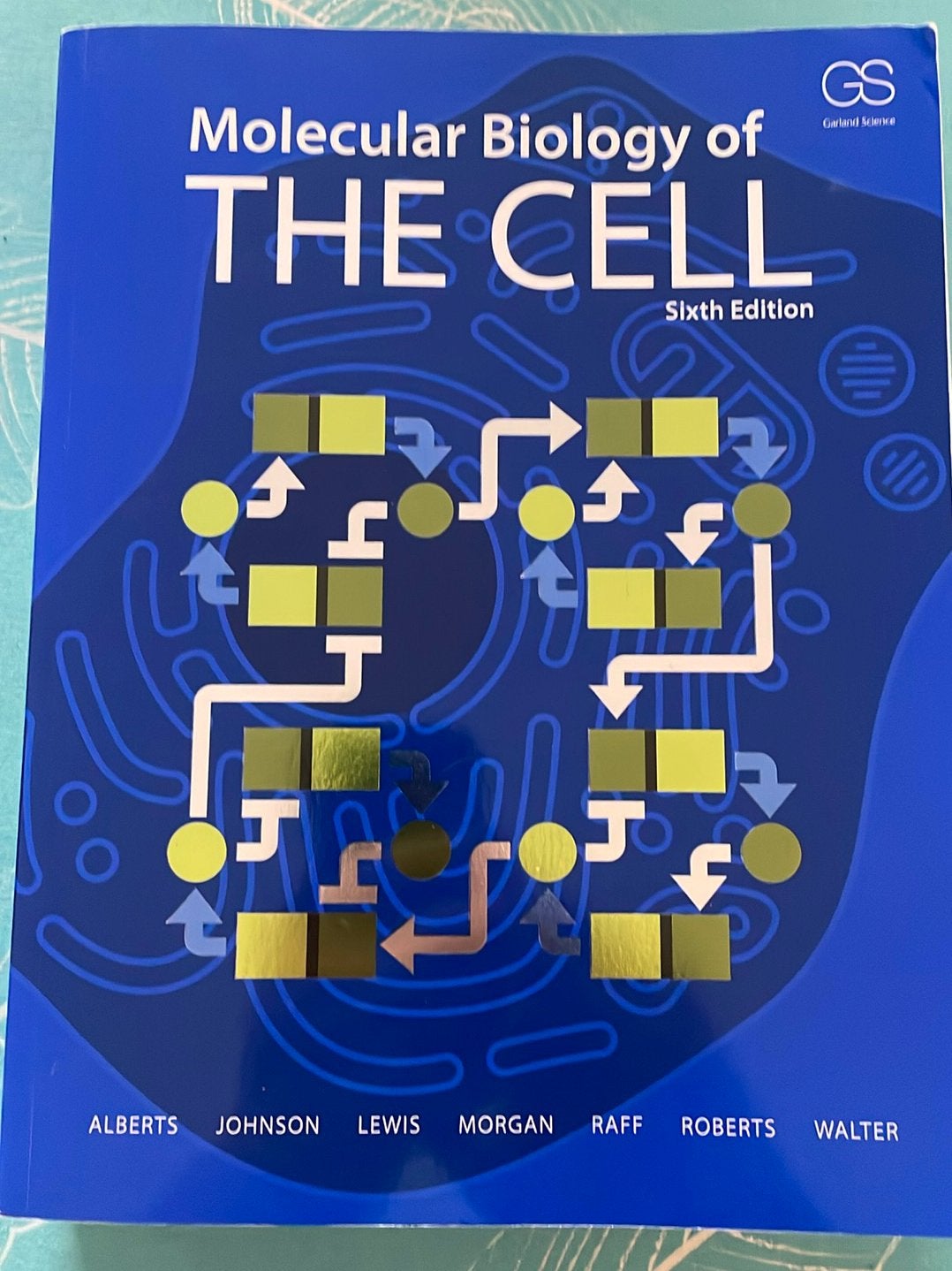 Molecular biology of the cell, Boeken, Ophalen of Verzenden, Zo goed als nieuw