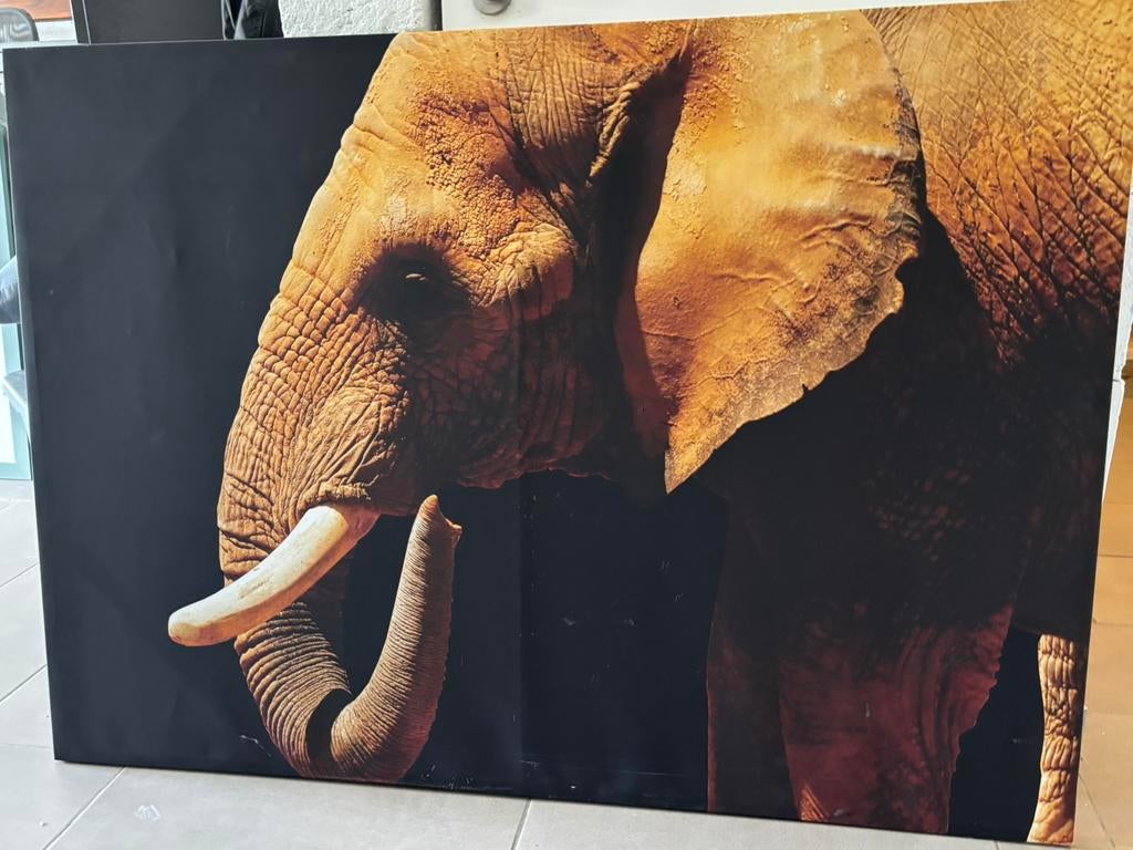Cadre elephant sur toile, Maison & Meubles, Accessoires pour la Maison | Peintures, Dessins & Photos, Enlèvement, Utilisé, 50 à 75 cm