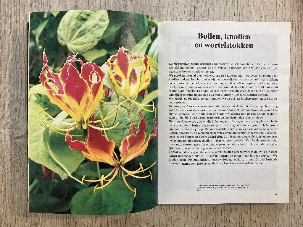 Boek : Tuinieren en het Verzorgen van Kamerplanten, Ophalen of Verzenden, Zo goed als nieuw, Lekturama Rotterdam, Kamerplanten