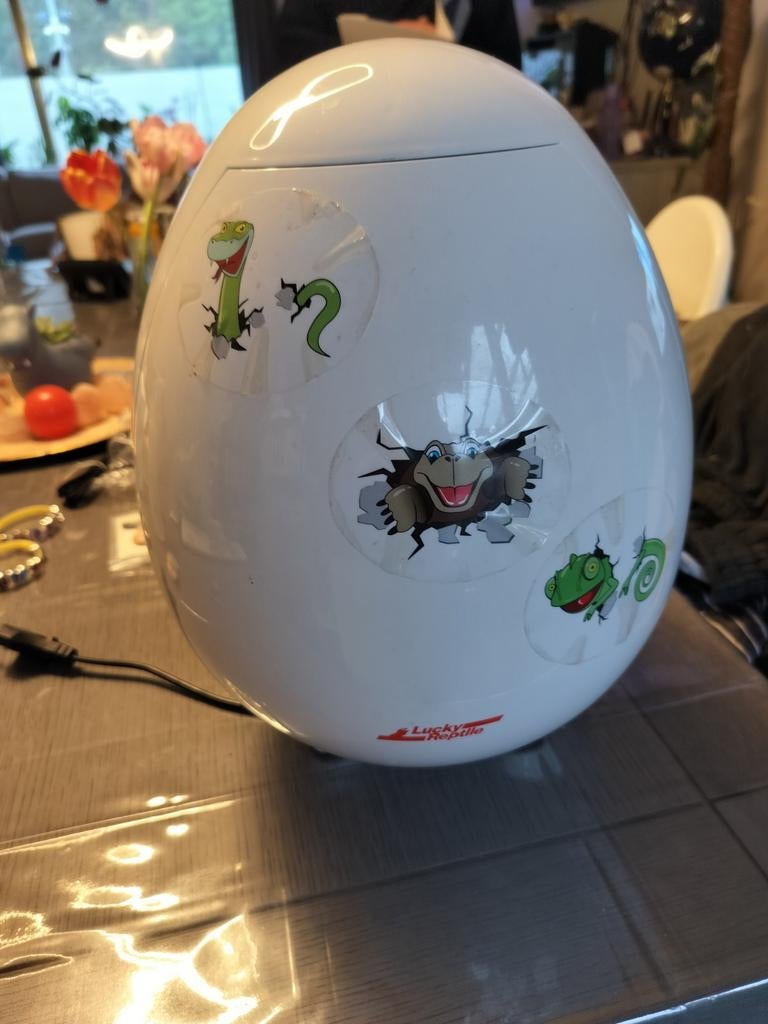 Incubator, Animaux & Accessoires, Reptiles & Amphibiens | Accessoires, Enlèvement, Utilisé, Incubateur ou Couveuse