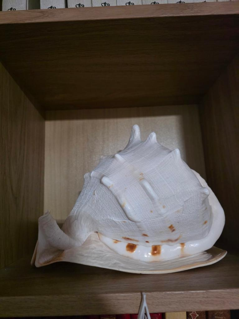 Dekoratif schelp, Ophalen