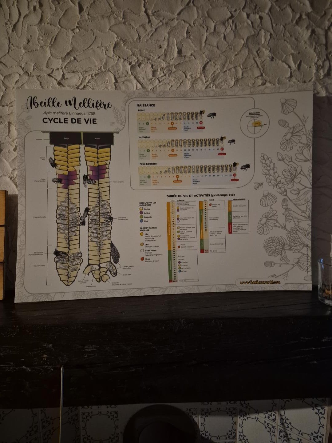 Panneaux pédagogiques apiculture grand format A1, Boeken, Ophalen, Zo goed als nieuw