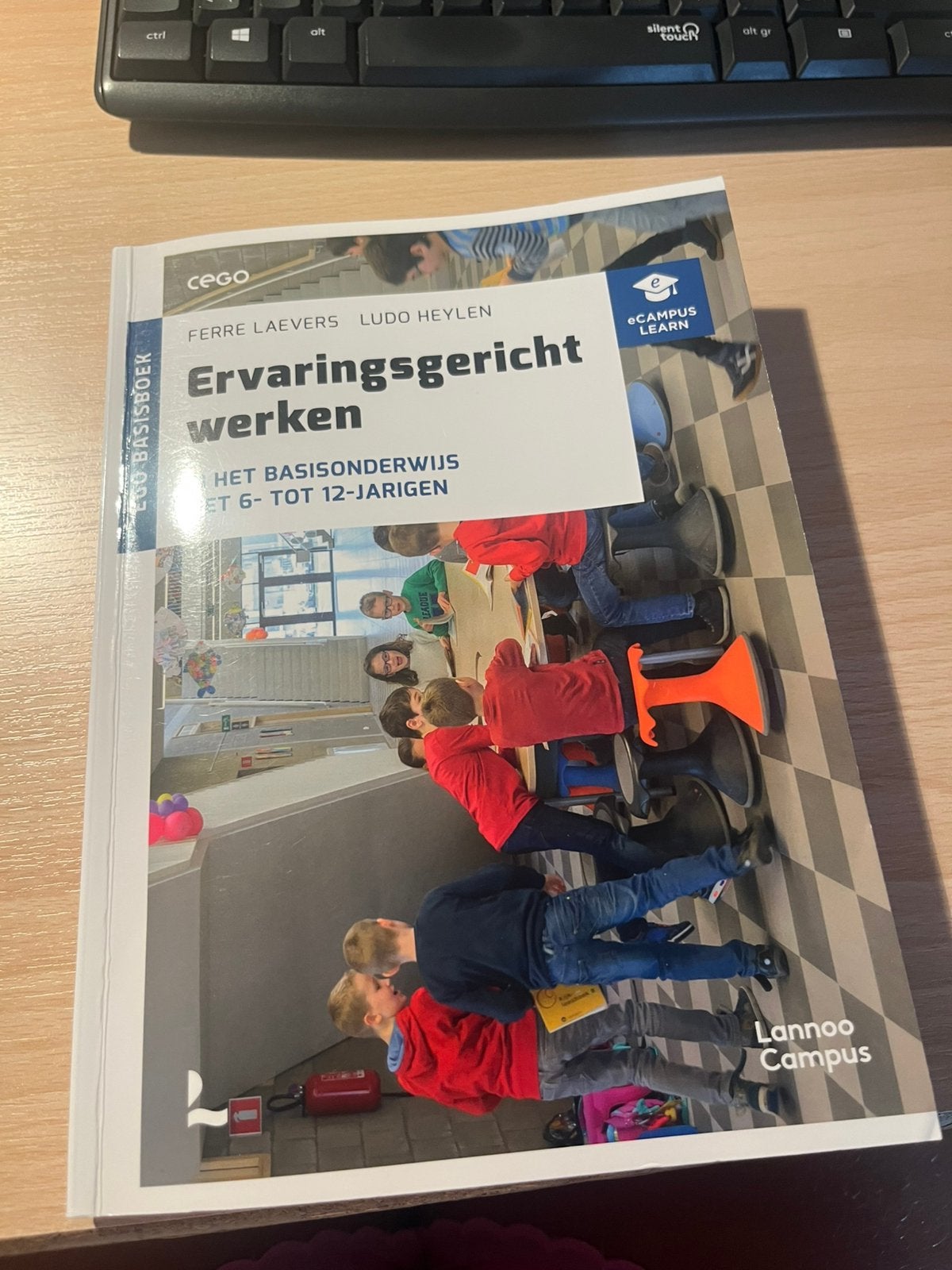 Ervaringsgericht werken in het basisonderwijs, Ophalen of Verzenden, Zo goed als nieuw