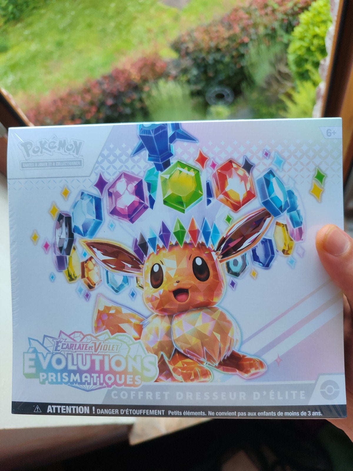 Etb pokémon évolution prismatique, Enlèvement ou Envoi