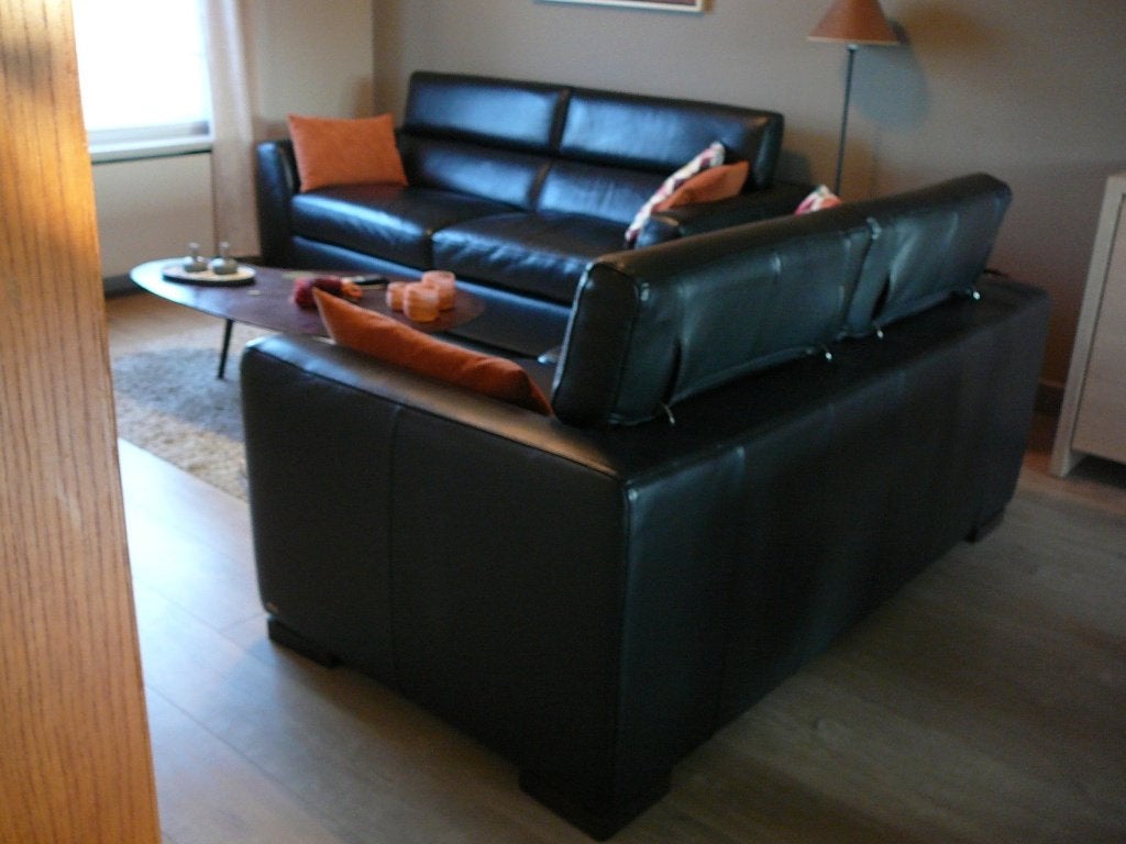 lederen salon, Ophalen, Gebruikt, Rechte bank, 200 tot 250 cm